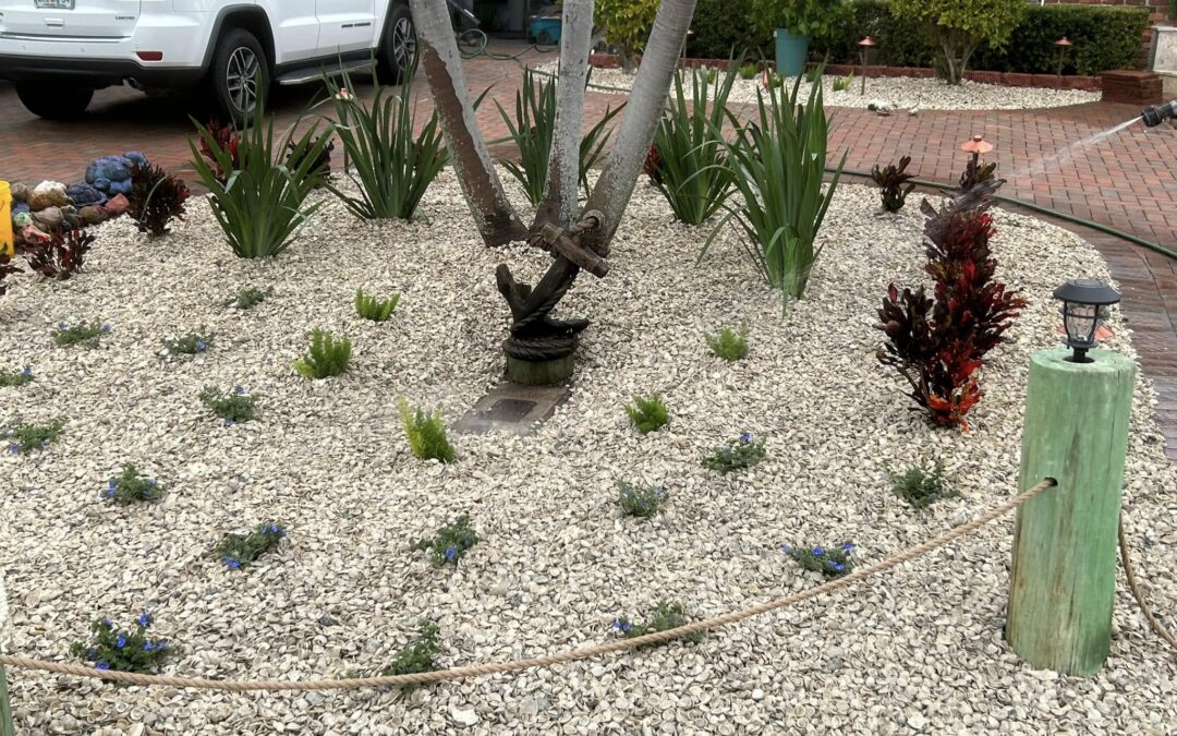 Landscape Design: DIY vs. Hiring a Professional in Central Florida