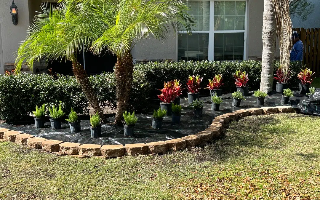 Affordable Landscape Maintenance Sydney FL